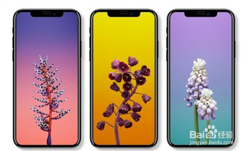 苹果手机怎么定位？我用Golang写了个工具，结果真香了